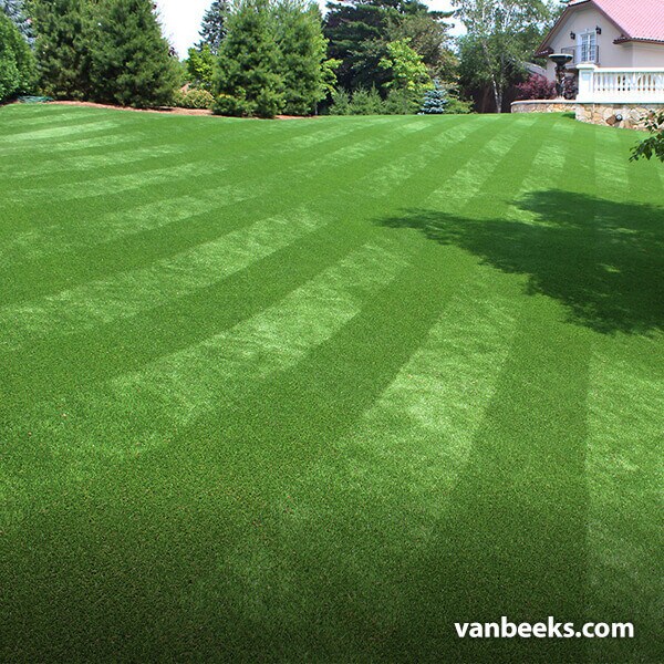 AGL Saratoga 40 Turf preview